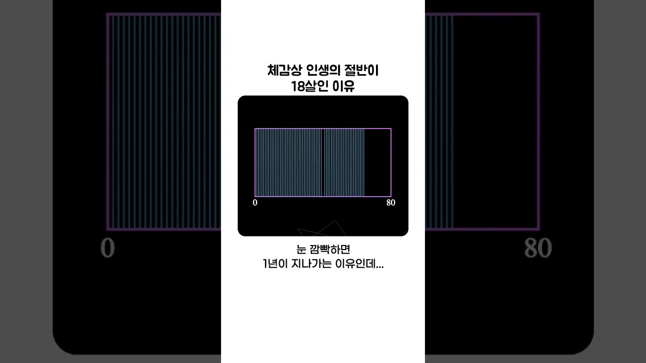 체감상 인생의 절반이 18살인 이유