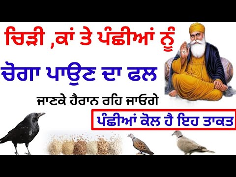ਚਿੜੀ, ਕਾਂ ਤੇ ਪੰਛੀਆਂ ਨੂੰ ਚੋਗਾ ਪਾਉਣ ਦਾ ਫਲ ਜਾਣਕੇ ਹੈਰਾਨ ਰਹਿ ਜਾਓਗੇ katha vichar