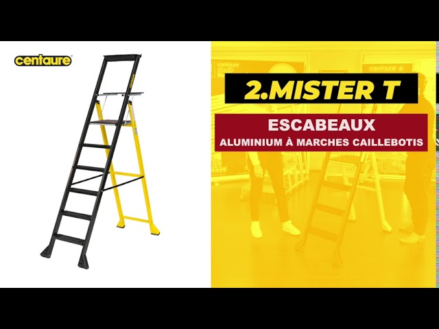 Escabeau aluminium PRO UP - Centaure