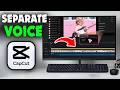 How To Separate Voice From Music In CapCut (2026)