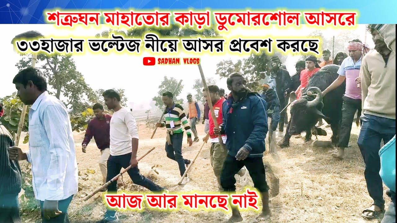 শত্রুঘন মাহাতোর কাড়া ডুমোরশোল আসরে ৩৩হাজার ভল্টেজ নীয়ে আসর প্রবেশ করছে।