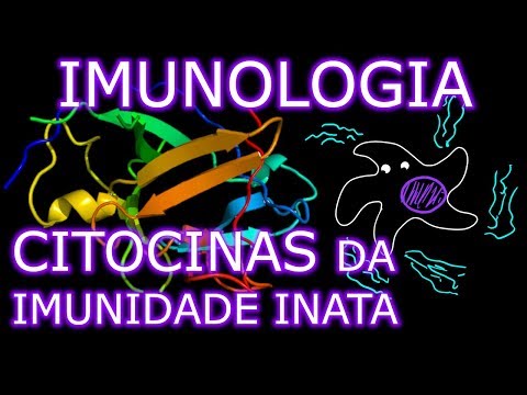 Vídeo: A Estimulação De Macrófagos Derivados De Monócitos Bovinos Com Lipopolissacarídeo, Interferon-ɣ, Interleucina-4 Ou Interleucina-13 Não Induz Alterações Detectáveis na Atividade D