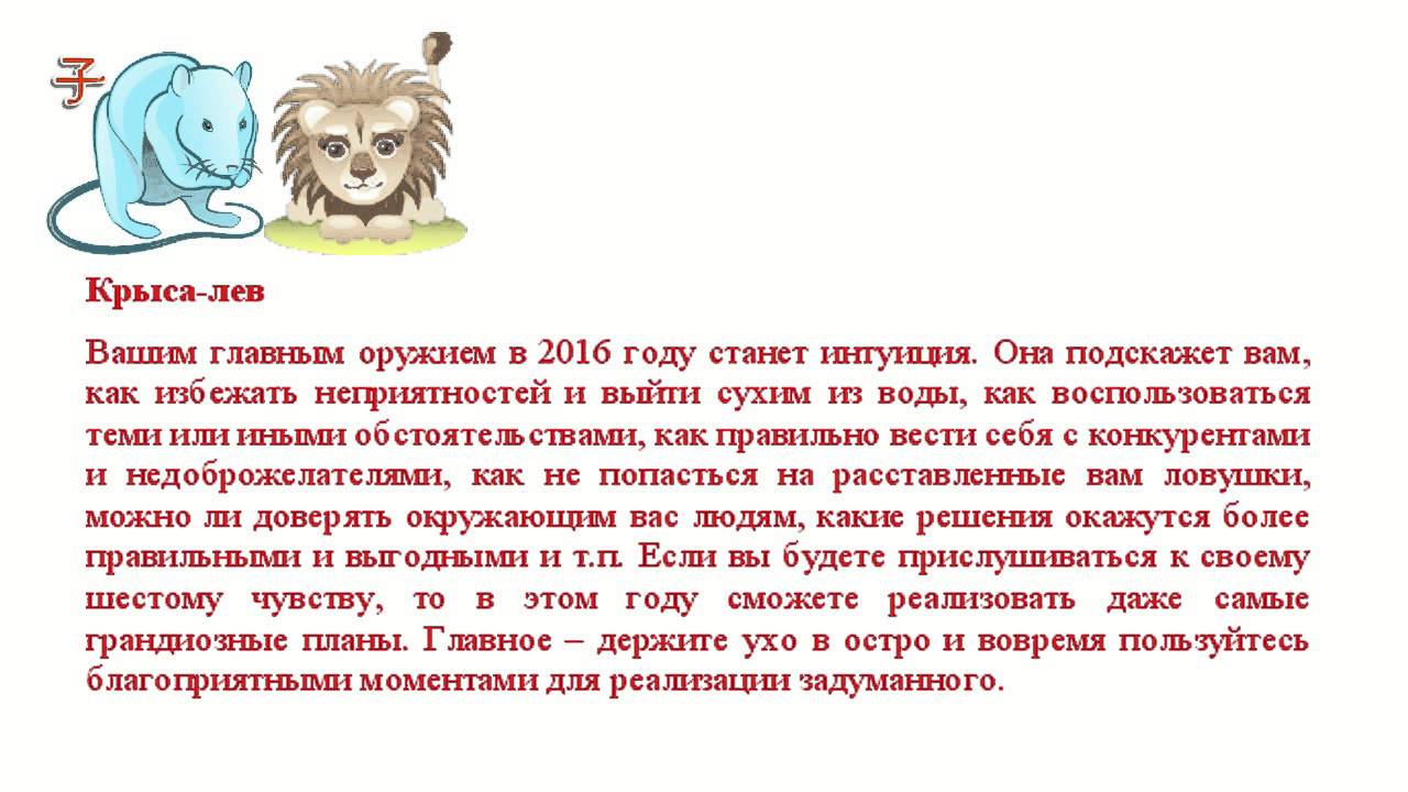 Мужчина крыса лев совместимость. Крыса-Лев женщина характеристика. Гороскоп для Льва крысы. Телец-крыса женщина. Гороскоп женщина крыса.