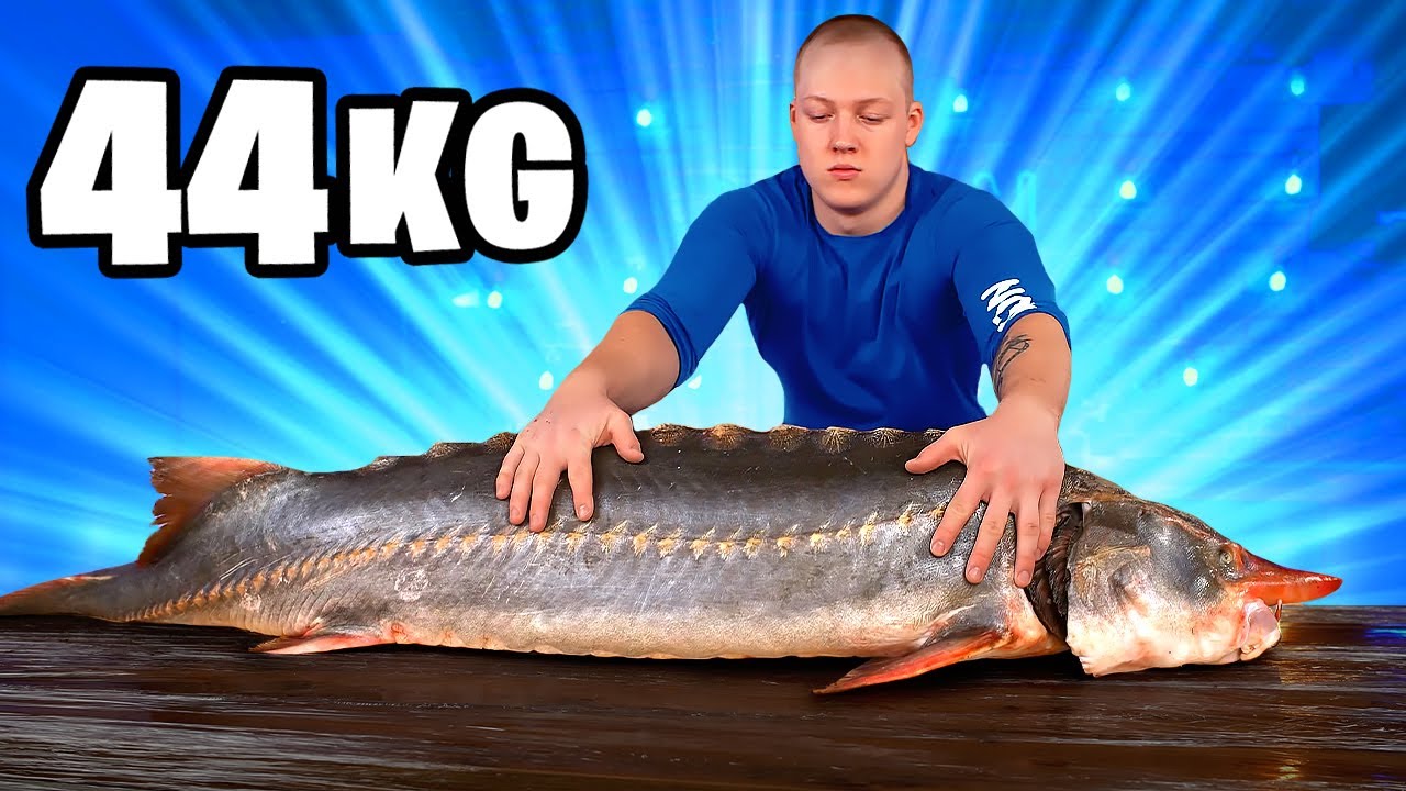 44 kg Riesiger Stör Rezept | Großer Stör Kochen und Essen von VANZAI