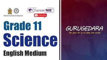 Grade 11 - Science (English Medium)