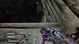 Painkiller (PS5 PRO)