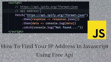 How to find your ip address in javascript using api || Web development mini project