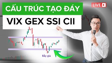 CẤU TRÚC TẠO ĐÁY - VIX GEX SSI CII| Tú Lê