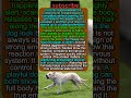 3 REASONS Your Dog’s FUR STANDS UP #dogpsychology #puppy