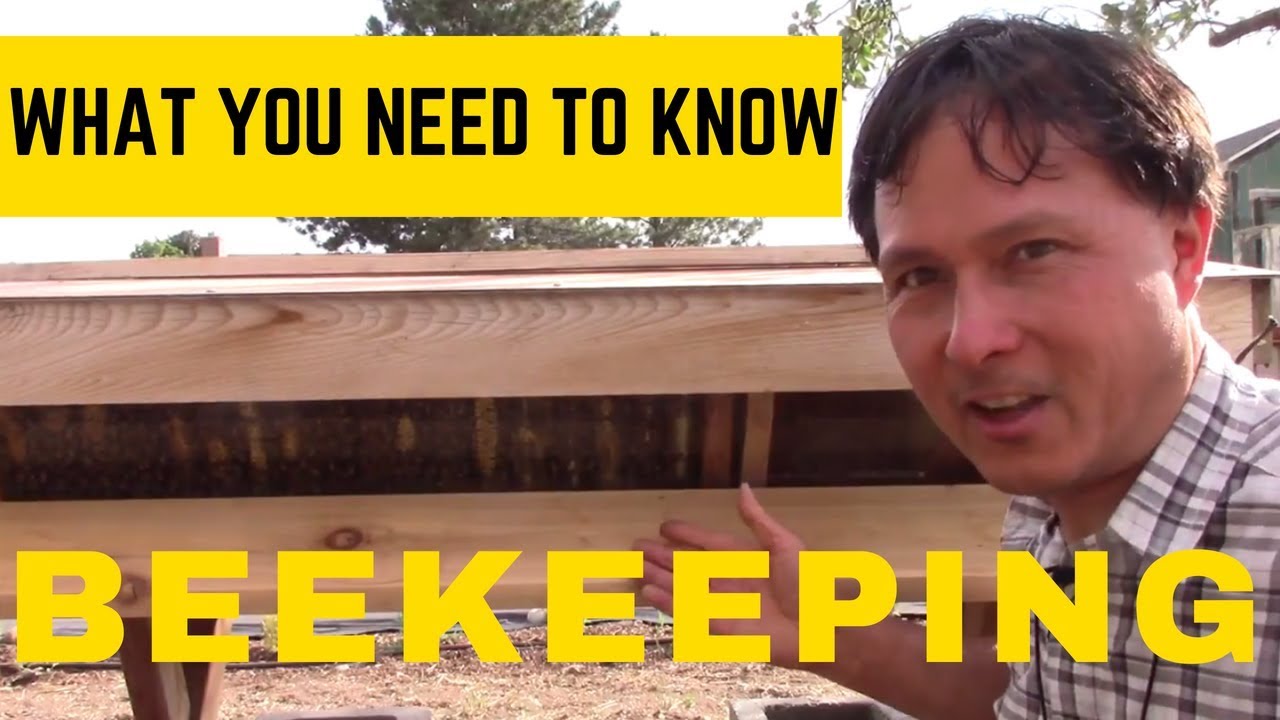 What Every Beekeeping Beginner Needs to Know So You Don't Fail with ...