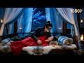彼を助けたら主人扱い!記憶喪失の敵国太子は忠犬のように寄り添うが、記憶を取り戻すと刃を向ける。彼女の訃報を聞き、天下を捨てても探し求める#転生#時代劇の短編シリーズ#復活を果たす