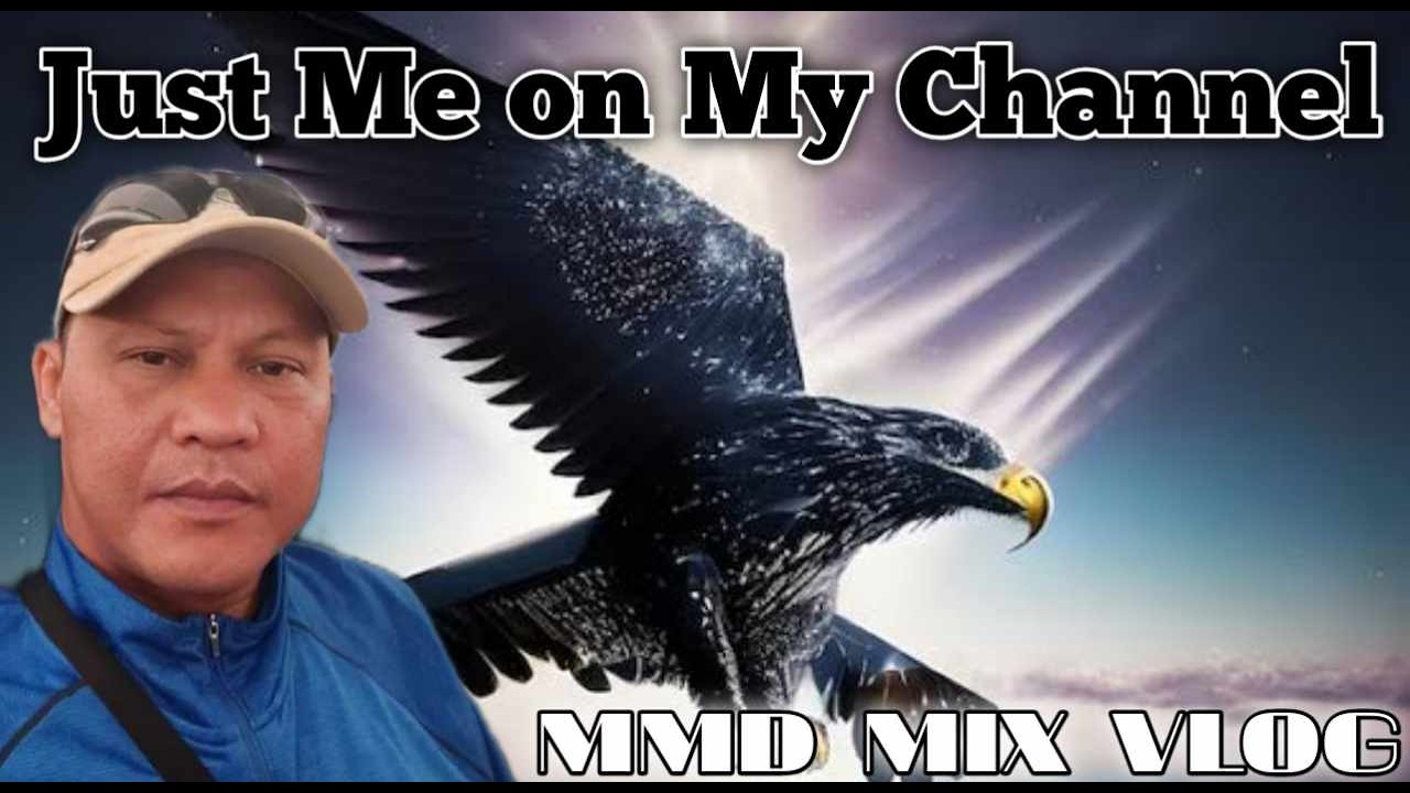 Feeding of cats and birds beside of strong water waves