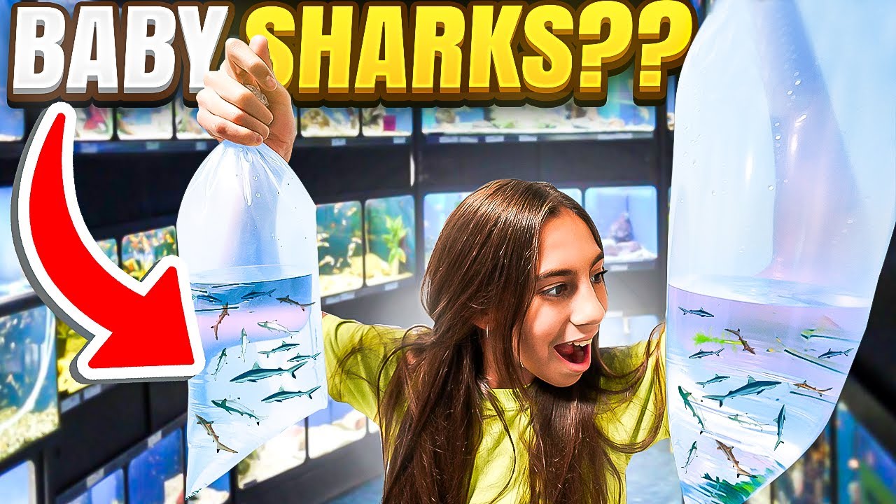 WE BOUGHT EVERY SHARK AT THE FISH STORE!! - YouTube