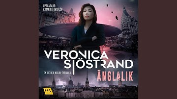 Chapter 1.16 - Änglalik