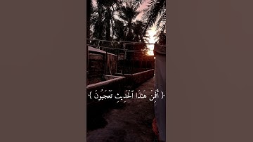 ما تيسر من سورة النجم