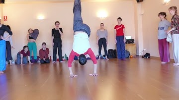 February 2025 Highlights | Tejido Conectivo Professional Education Program Contemporary Dance