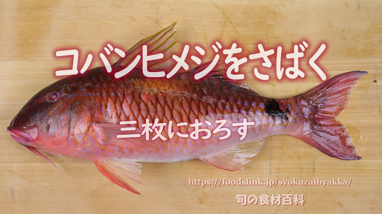 コバンヒメジのさばき方 動画付き 旬の魚介百科