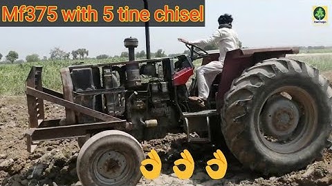 Mf375 deep ploughing with 5 tine(phala) chisel  powerful performance|pind punjab |