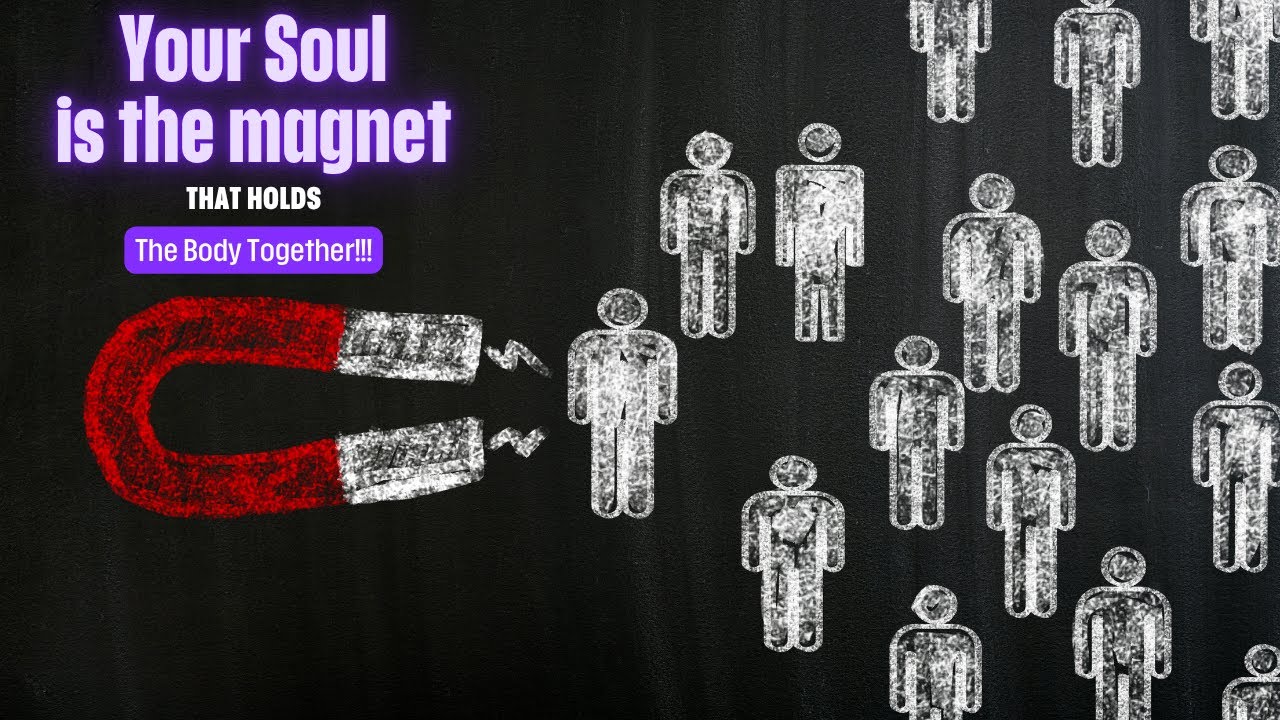 The Magnetic Soul: How Your Energy Attracts Your Reality