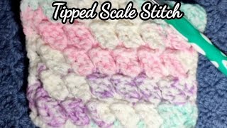 Tipped/ Tilted Scale Stitch Crochet Tutorial
