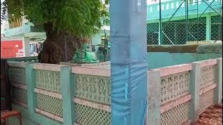 contact number. 9974286212