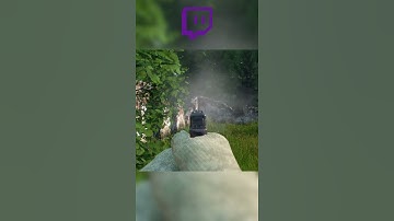 Pocket Full Of Bullets And A Dream - Stanley Stevens DayZ - #short