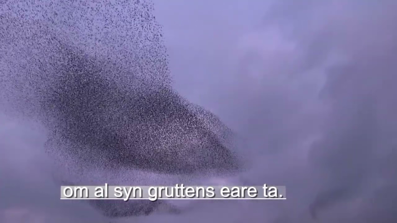 5 B Jim, tsjinners fan de Here kom.