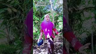 Rondo Kempling..a Judul Asline Binor