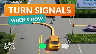 How to Use Turn Signals Correctly - Driving Tips