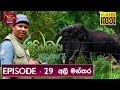 Sobadhara - Sri Lanka Wildlife Documentary | 2019-10-11 | ( අලි මන්තර ) Ali Manthara