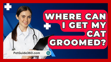 Where Can I Get My Cat Groomed? - PetGuide360.com