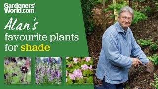 Five plants for shade | Alan