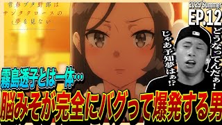 青春ブタ野郎はサンタクロースの夢を見ない 同時視聴
