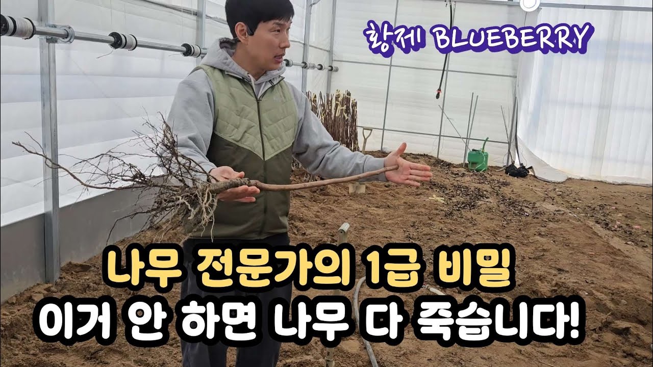 나무 심기의 정석: 묘목 생존율 200% 올리는 전문가의 식재 바이블