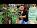 Shop With Me at The Plant Stand of Arizona | House plant shopping