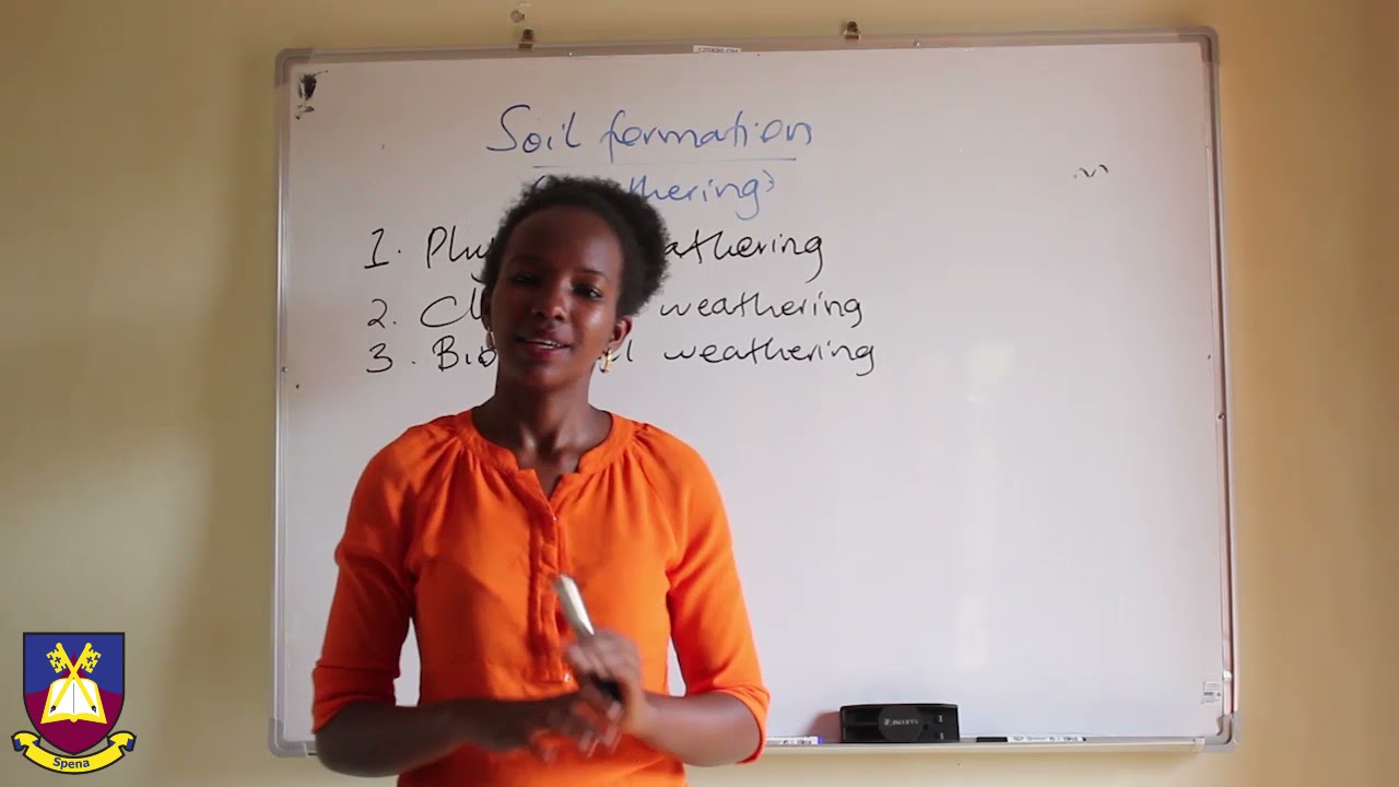 Senior Two Biology (SOIL PART 4)