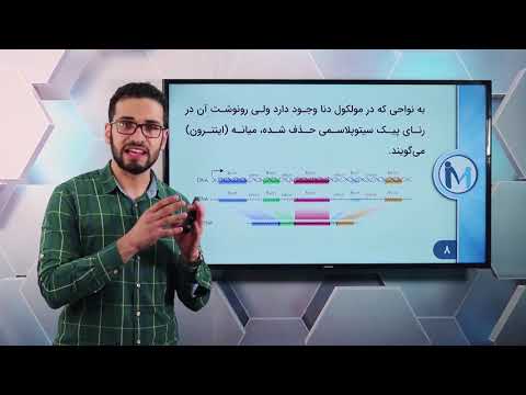 تدریس مبحث رونویسی زیست شناسی دوازدهم تجربی