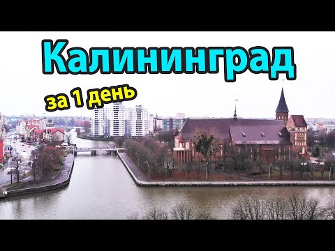 Калининград - куда пойти и что посмотреть за 1 день?
