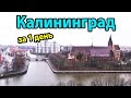 Калининград - куда пойти и что посмотреть за 1 день?