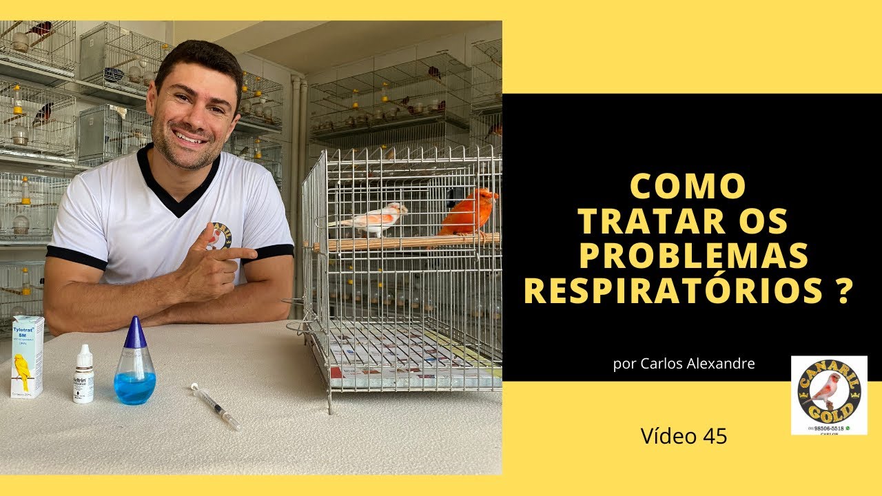 ÁCARO DE TRAQUÉIA! COMO IDENTIFICAR E TRATAR