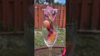 HOW TO MAKE FLORAL ICE CUBES #drink Resimi