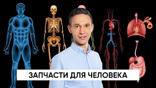 ЗАПЧАСТИ ДЛЯ ЧЕЛОВЕКА | НАУЧНОЕ РАССЛЕДОВАНИЕ