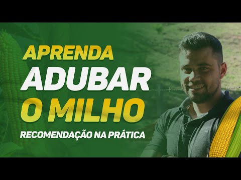 Vídeo: Campo Udokan: descrição