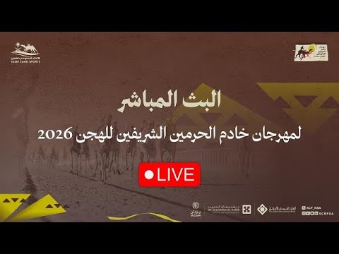 تشاهدون اشواط رموزالحول والزمول المسائية في مهرجان خادم الحرمين الشريفين 2026 تاريخ 2026 02 01