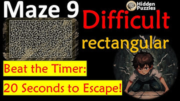 Difficult rectangular mazes Maze 9