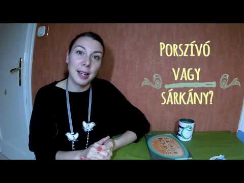 Videó: Hogyan Készítsünk Porszívót