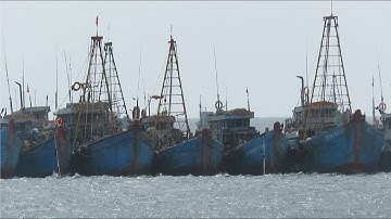 Tập đoàn ghe cào Vũng Tàu hàng chục chiếc tại đảo Phú Quý