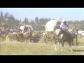 The Great Montana Centennial Cattle Drive