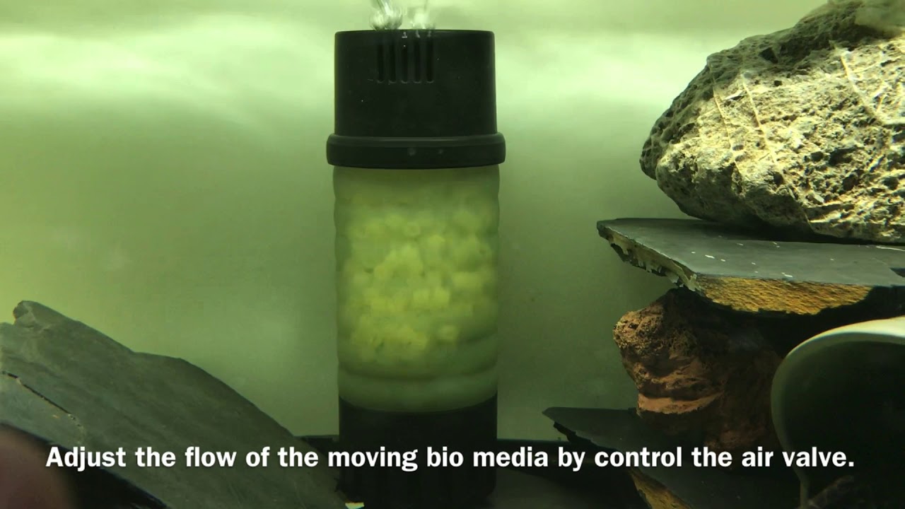 ZISS ZB-200 Bubble Bio Moving Media Filter