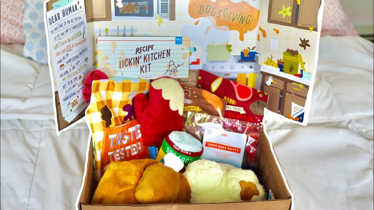 BarkBox November 2020 Review | DogsGiving BarkBox Unboxing